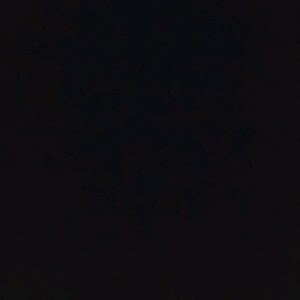 Meet your Posher, Garrett